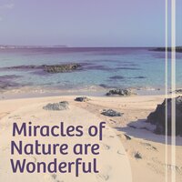 Sacral Chant - Beautiful Moments