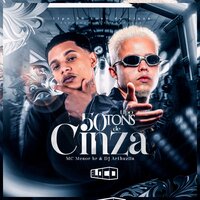 Tipo 50 Tons de Cinza - Mc Menor Hr & DJ ARTHUZIIN