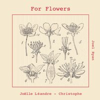 White Lily - Joëlle Léandre & Mat Maneri & Christophe Marguet & Joel Ryan