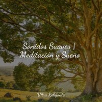 Ritmos Ondulantes - Ruido Blanco Para Bebes & Piano para Relajarse & Relajante Musica