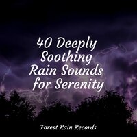 Rainy Night - Sleep Sounds & Pet Care Music Therapy & Musica relajante