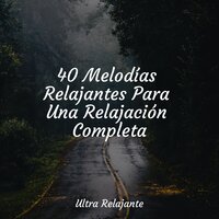 Bosque Crepúsculo - Música ambiental relajante & Academia de Música para Massagem Relaxamento & Mantra para Meditar