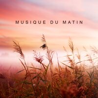 Matin frais - Zen Ambiance d'Eau Calme