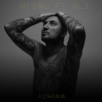 Terminus - F.Charm & Mihai Nenita