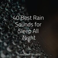 Fire Kindling - ASMR Rain Sounds & Meditation & Loopable Rain Sounds