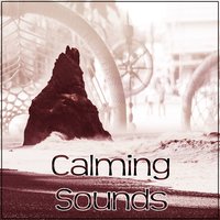 Healing Music - Insomnia Cure Music Society