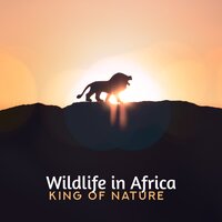 Exploring Savanna - Nature Music Zone