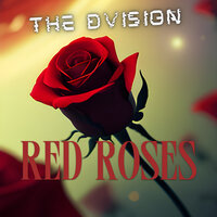 Start Over - The DVision