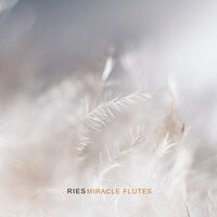 Peaceful Forest - Ries