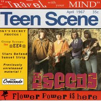 Satisfy You - The Seeds