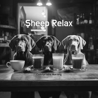At Dance - Comfortable Morning