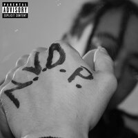 N.V.D.P. - SAL