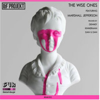 The Wise Ones - L&F Projekt & Kinnerman