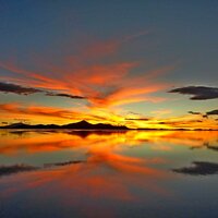 Tranquil Music for Relaxation - Harmonious Tunes & Dream Relaxation & Relaxation Sounds