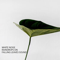 Rain At Dusk - Dreamy White Noise & Zen Meditation and Natural White Noise and New Age Deep Massage & Fans