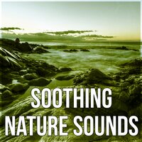 Calming Peaceful Music - Nature Sounds Universe