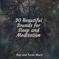 After the Rain - Ambiente & Bedtime Baby & Deep Sleep Meditation