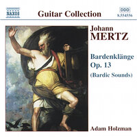 Bardenklange, Op. 13: Bardenklange (Bardic Sounds), Op. 13: Elfenreigen [Dance of the Elves] - Adam Holzman
