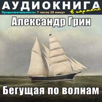 Глава 5, Чт. 5 - Аудиокнига в кармане & Максим Доронин