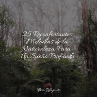 Música Suave - Sonidos De Truenos y Lluvia & Natureza & Sonidos de lluvia para dormir