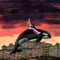 João - Orca