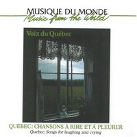 Le retour du voyageur - Michel Faubert