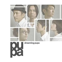 dreaming pupa - Pupa