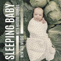 Nature New Age Sounds – Bedtime - Baby Music Center
