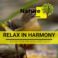 Enchantment of the Almighty - Power Yoga Nature Sounds