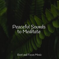 Walking - Musique Zen Garden & Sleep Sound Library & Pet Care Music Therapy