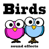 Little Bird Dub Extended - Text Tones and Ringtones