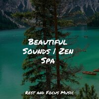 Meditation Basics - Massage Music & Meditation Awareness & Namaste Healing Yoga