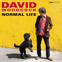 Peep Show - David Woodcock