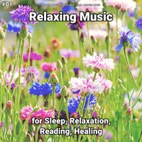 Relaxing Music, Pt. 69 - Relaxing Music by Darius Alire & Yoga & Relaxing music
