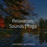 Fading Twilight - Rain Sounds Nature Collection & Oasis de Détente et Relaxation & Nature Music Pregnancy Academy