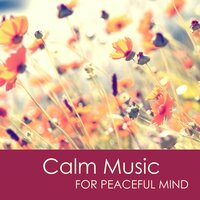 Calm Music - Calm Music Ensemble