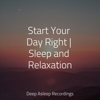 Aries' Lava - Sleep Songs 101 & Life Sounds Nature & Soothing Chill Out For Insomnia