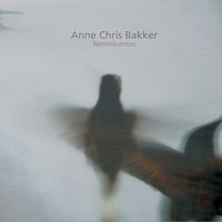 Norge Svømmer - Anne Chris Bakker