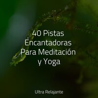 Lugar Zen - Música Relajante para Bebés & Naturaleza Relajacion & Masajes Spas