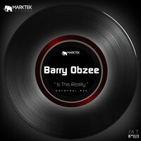 Is This Reality - Barry Obzee