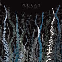 Lost in the Headlights - Pelican