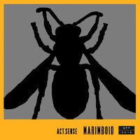 Kalimboid - Act. Sense