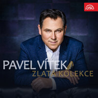 To se stává - Pavel Vitek