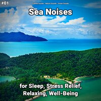 Sea Noises Part 45 - Coastal Sounds & Nature Sounds & Ocean Sounds