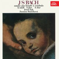 Sonata No. 2 in A-Sharp Major, .: II. Andante - Josef Suk & Johann Sebastian Bach