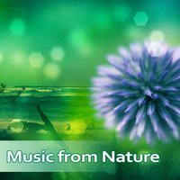 Ambient - Nature Tribe