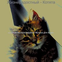 Созерцая (Отдыхающие кошки) - Музыка для кошек