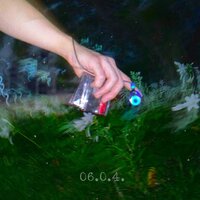 Shame - web.(웹)