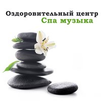 Птицы поют - Академия Глубокой Релаксации