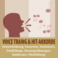 Kadenz F-Moll, T-SD-D, 1-4-5, alle Lagen zur Tonhöhen Übung, Hörbildung - Tonmeister TA & Todster & Voice Trainer TA